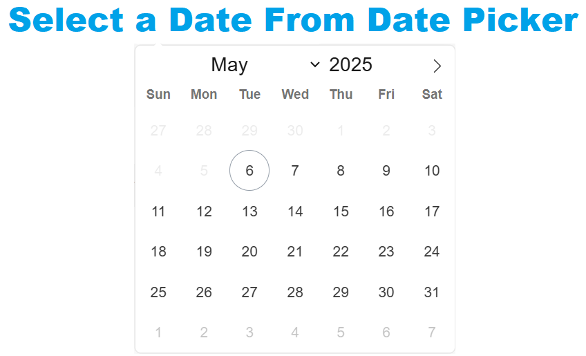 Select date from date picker to handle date filling in Plywright