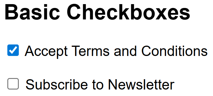 Zoomed in screenshot of basic checkboxes such as Accept Terms and Subscribe Newsletter for Playwright Java testing.